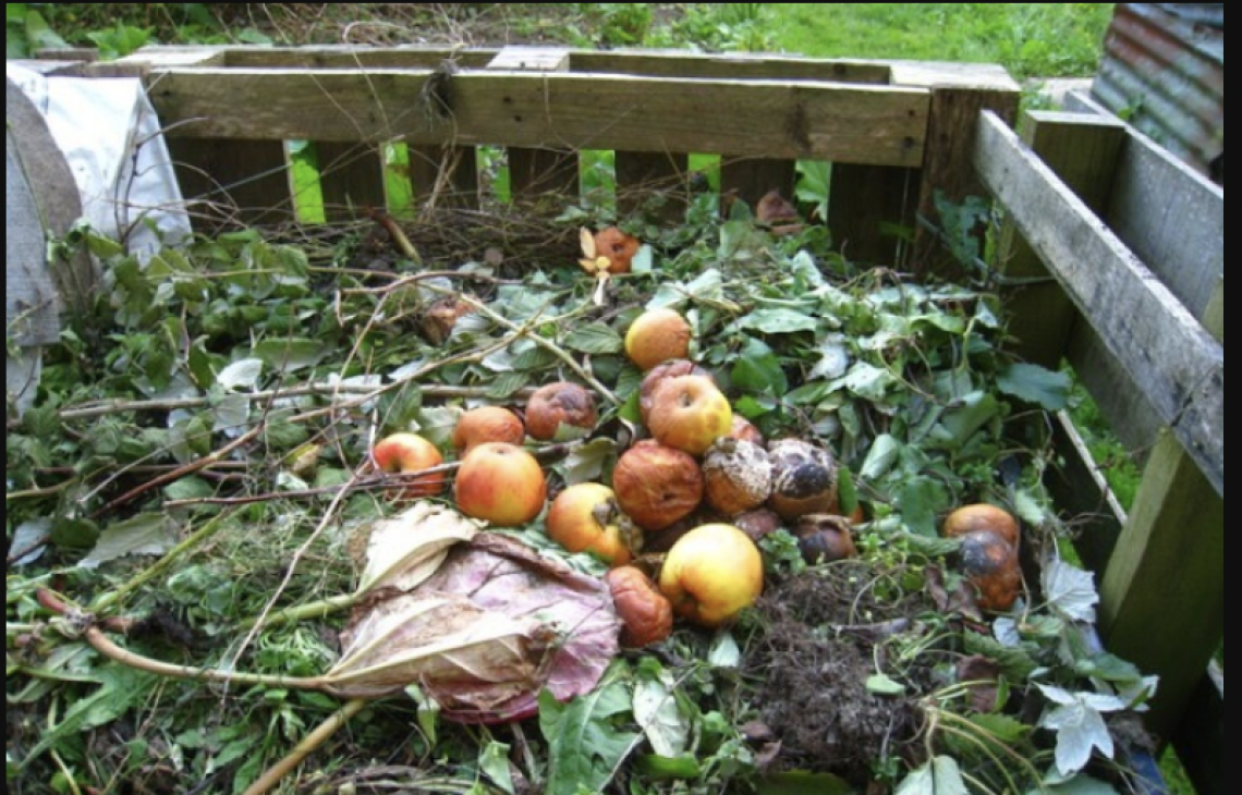 Community Gardens - Seedlings & Composting